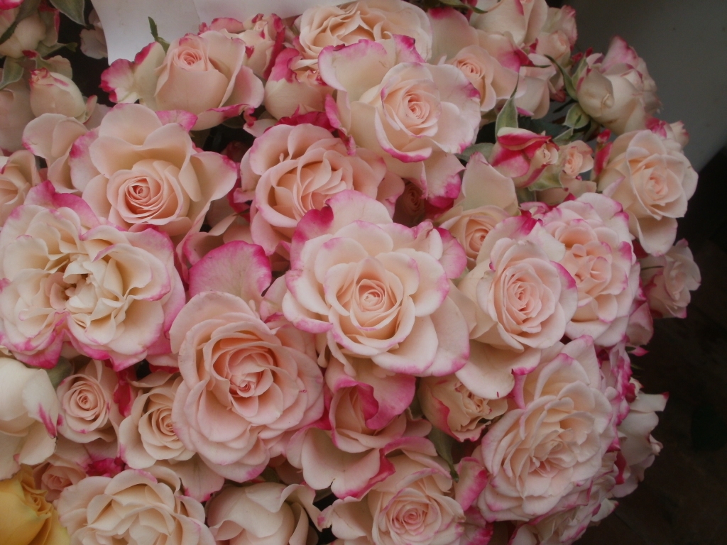 Autors: Inārs Dreijers