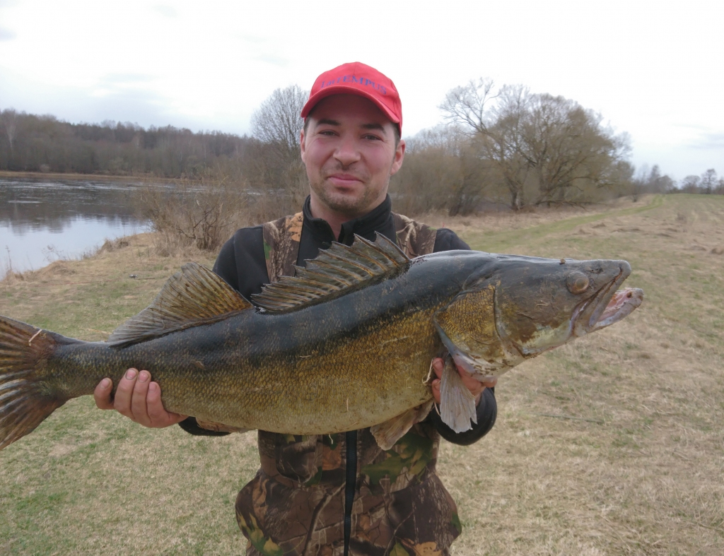 Milzenis. Līdz Latvijas rekordam pietrūkst nepilnu 2 kilogramu.
Autors: no Jāņa Riekstiņa albuma