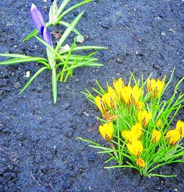 Autors: Vineta Cimdiņa