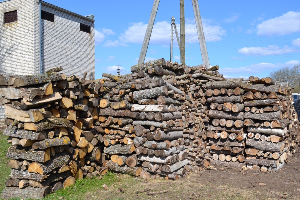 PAR MALKAS IEGĀDI nākamajai apkures sezonai Jaunjelgavas novada dome jau noslēgusi līgumus.
Autors: foto ilustratīva nozīme