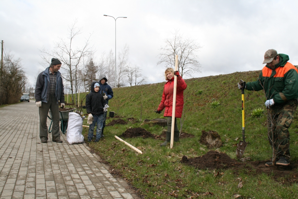 Autors: Edvīns Boķis