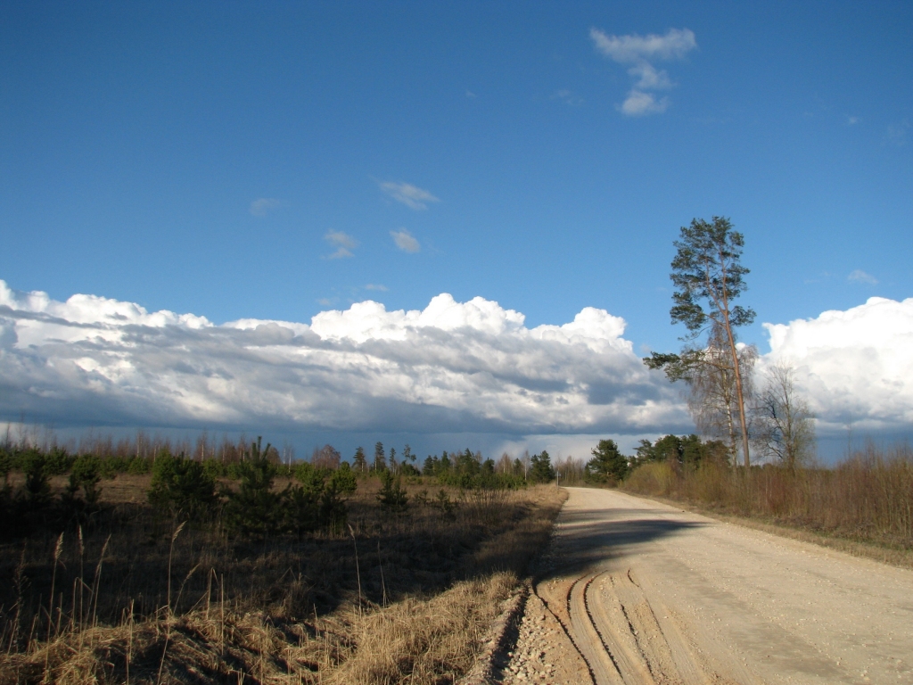 Autors: Solveiga Ivanova