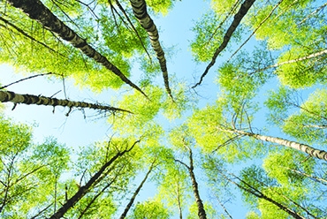 Autors: Līga Patmalniece