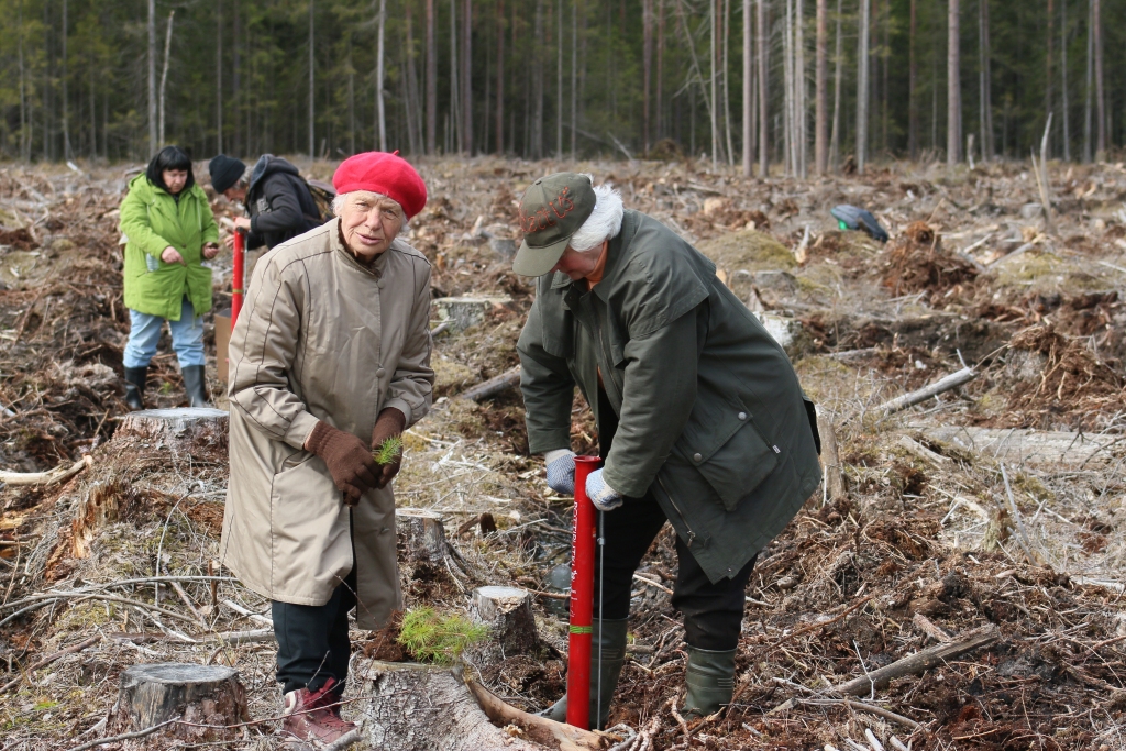 Autors: Mārcis Briška