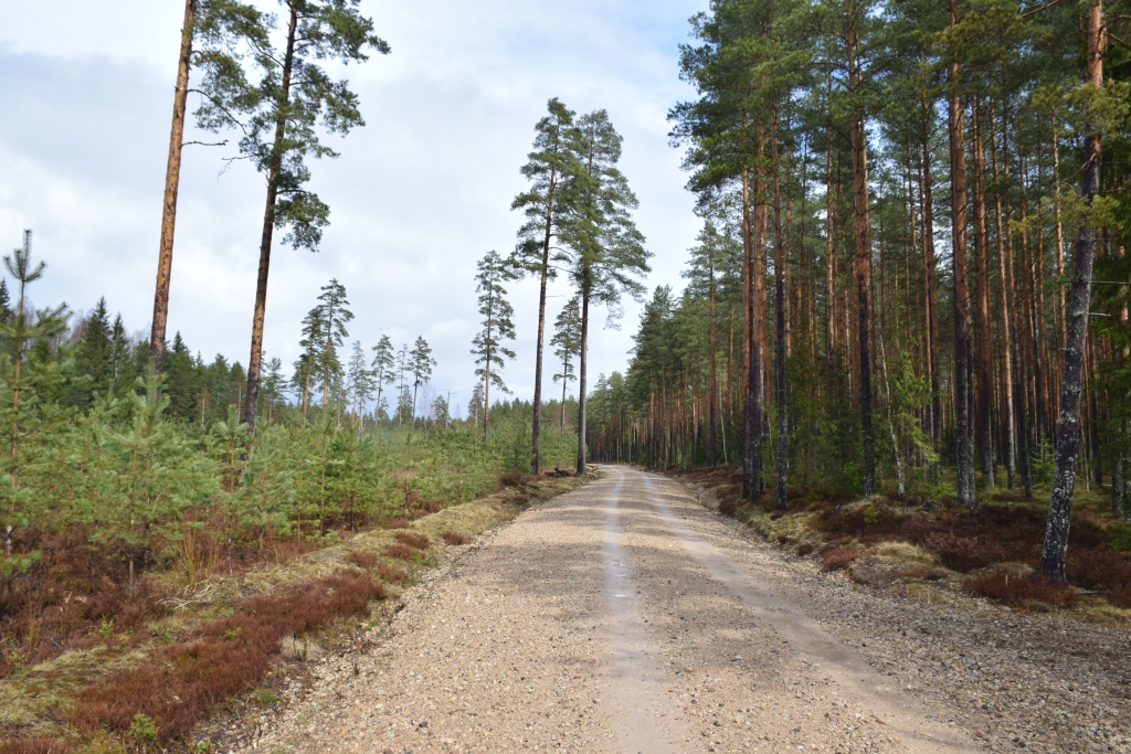 Autors: Līga Patmalniece