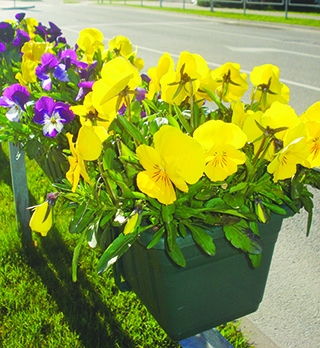 Autors: Silvija Karpoviča