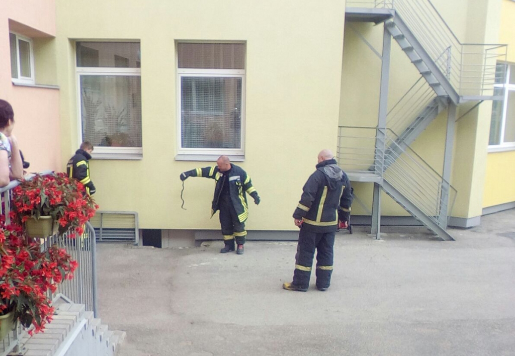 Ugunsdzēsēji glābēji pie bērnudārza Jaunjelgavā notver zalkti.
Autors: aculiecinieka