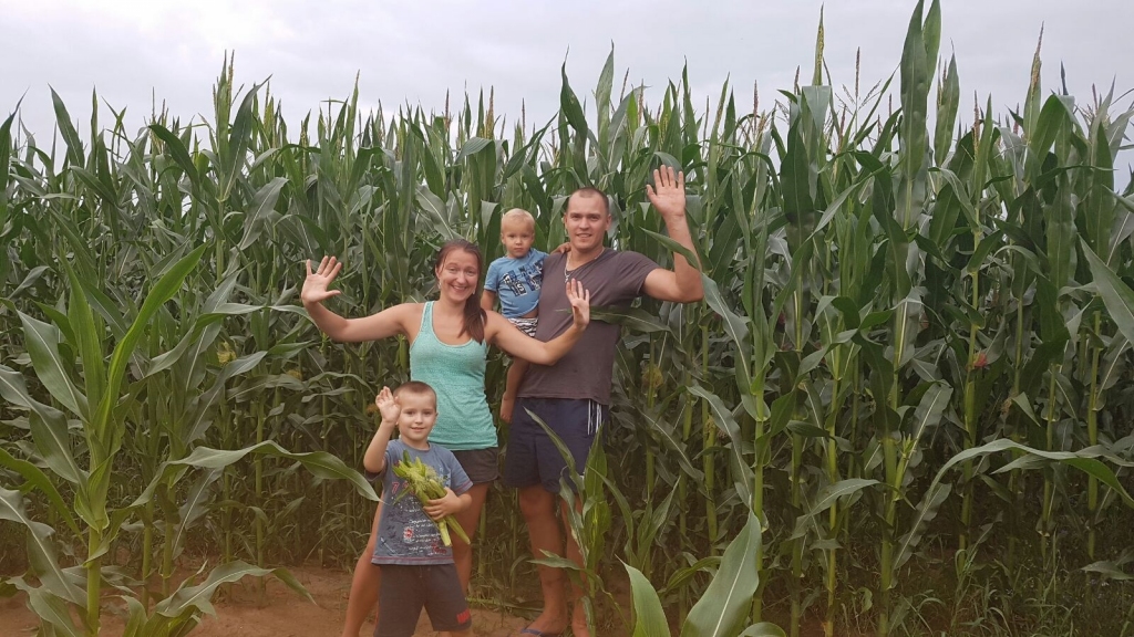 Kukurūzas laukā Armanda māsas laukos. Sieva Kristīne, Armands, vecākais dēls Alens un jaunākais dēls Gusts.
Autors: no personīgā albuma