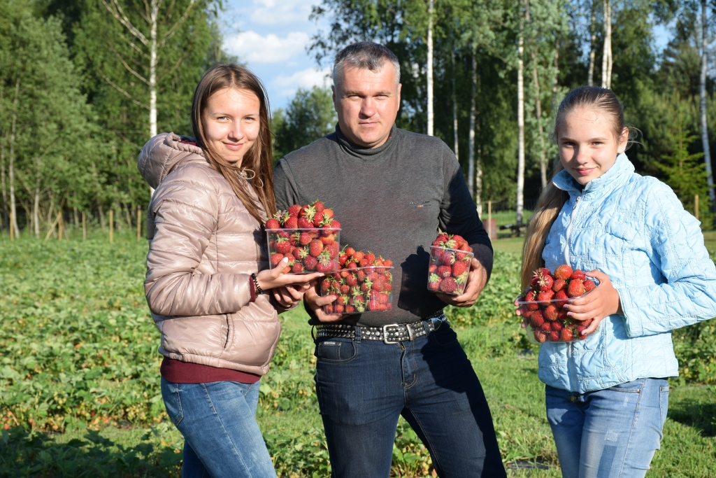 ZEMEŅU LAIKS Daudzevas “Blāzmās” šogad sācies agrāk nekā citiem. Ogu kārotājus šurp ciemos aicina saimnieks Dainis Dobrovoļskis ar meitām Lauru (no kreisās) un Sintiju.
Autors: Elita Brovacka