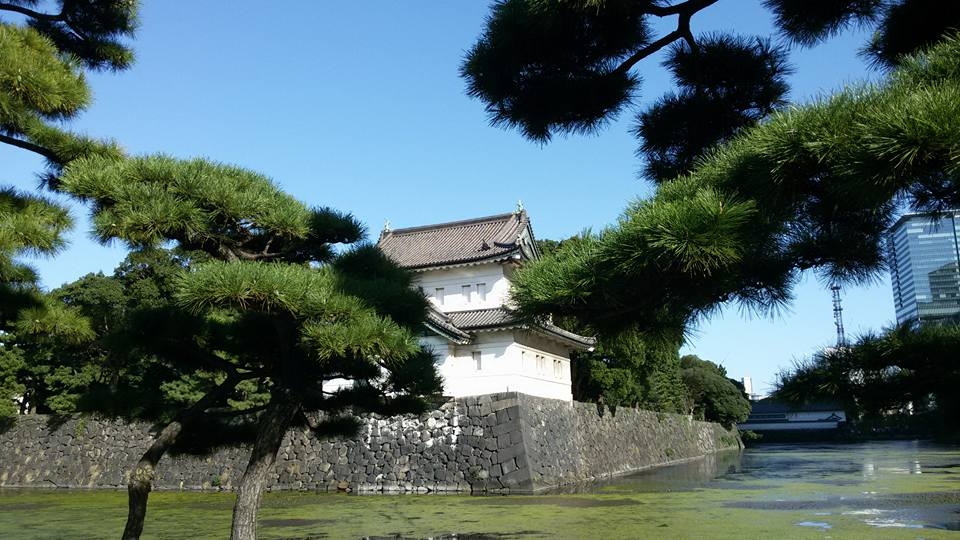 Atmiņai no Tokijas.
Autors: no ceļotāju albuma