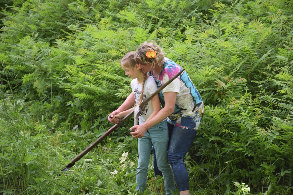 PIRMAIS VĀLS. Kā pareizi pļaut, biedrības “Pļaviņu pļāvēji” vadītāja un pieredzējusī pļāvēja Sarmīte Norvaiša šo prasmi ierāda vienai no jaunākajām sacensību dalībniecēm Laurai.
Autors: Sandra Pumpure