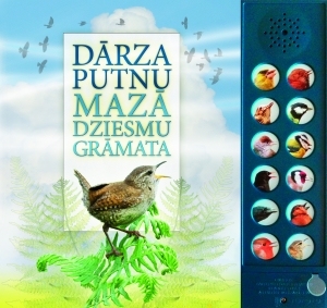 Aluksniesiem.lv raksta attēla aizvietotājs