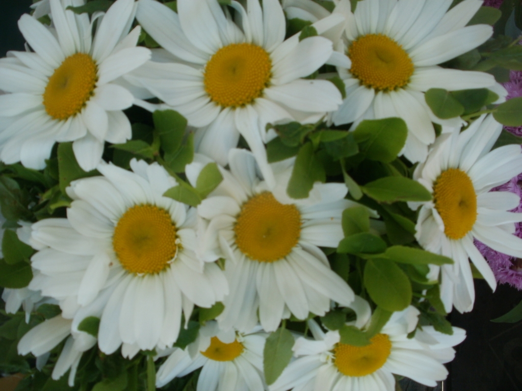 Autors: Inārs Dreijers