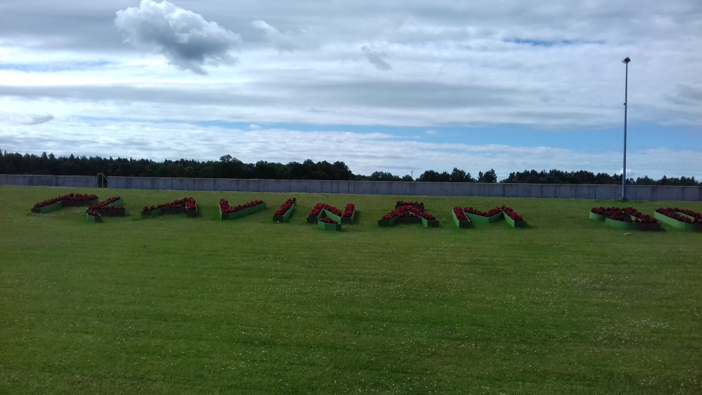 Autors: Agita Grīnvalde-Iruka