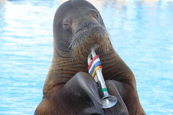 Attēlam ilustratīva nozīme.
Autors: https://www.lastmin.lv