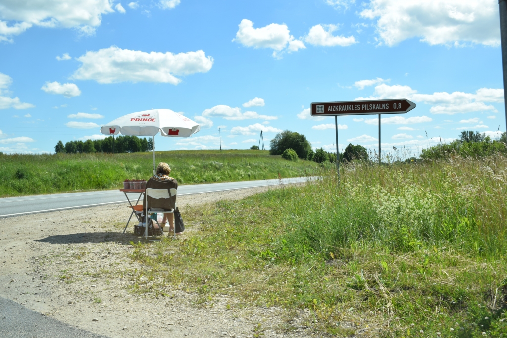Zemeņu tirgotāji lielceļa malā Skrīveros gadiem bijusi problēma. Lai gan skaidri noteikts, kas tur tirgoties nedrīkst, cīnīties ar šiem darboņiem ir ļoti grūti.
Autors: Līga Patmalniece