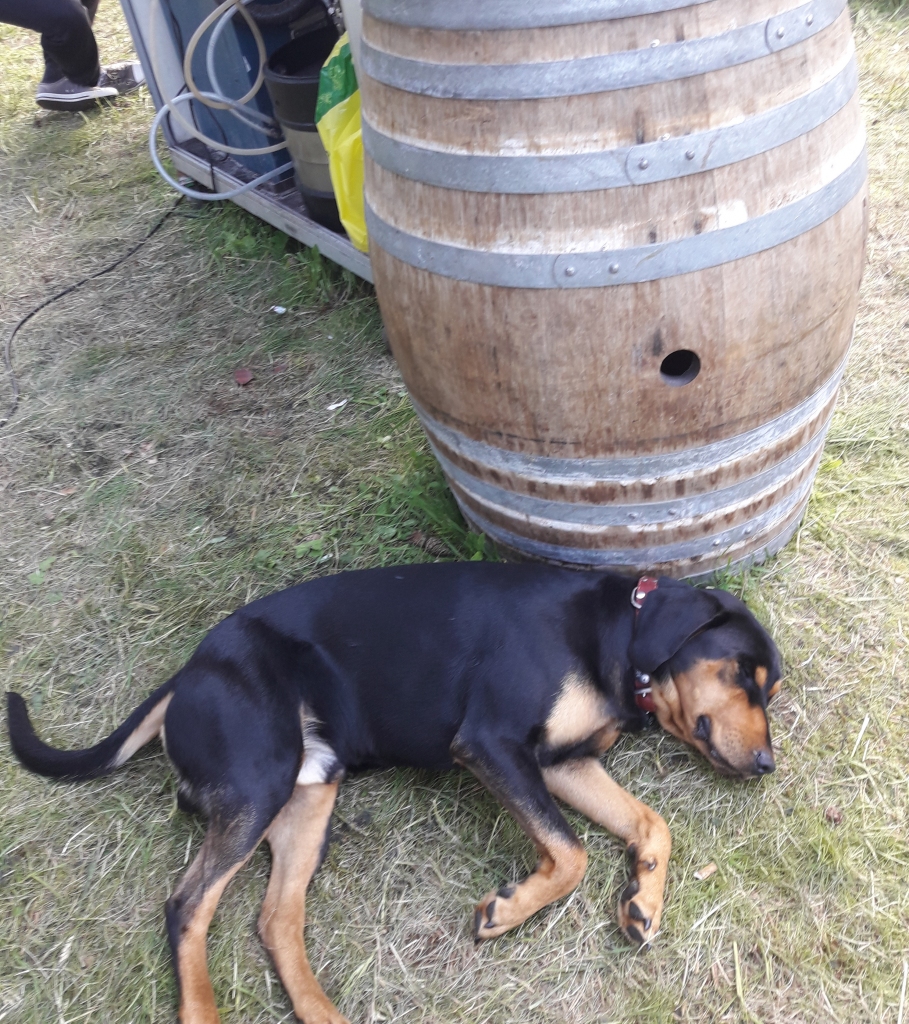 Autors: Raivis Bērziņš