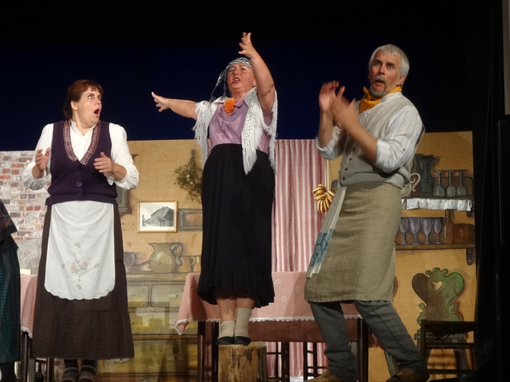 MAN BŪS VISLABĀKAIS! Babītes novada amatierteātris “Kalambūrs” lika pasmieties par krodzinieka Vāveres (Indulis Skrebelis) bagāto un vecīgo meitu Karlīni (Gita Strazdiņa —  vidū), kura par katru cenu grib apprecēties, pie tam ne parasti, bet labu romānu gaumē — ar nolaupīšanu un pakaļdzīšanos. Krodzinieka sievas lomā — Ilona Savočkina.