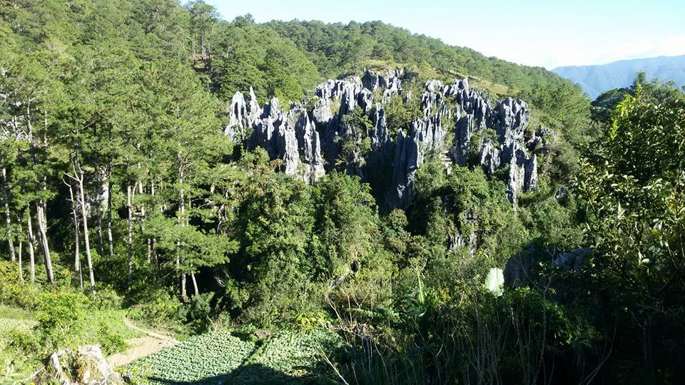Mazliet noslēpumaini — ceļā uz rīsu terasēm.
Autors: no ceļotāju albuma
