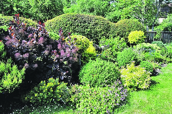 Autors: Dainis Ģelzis