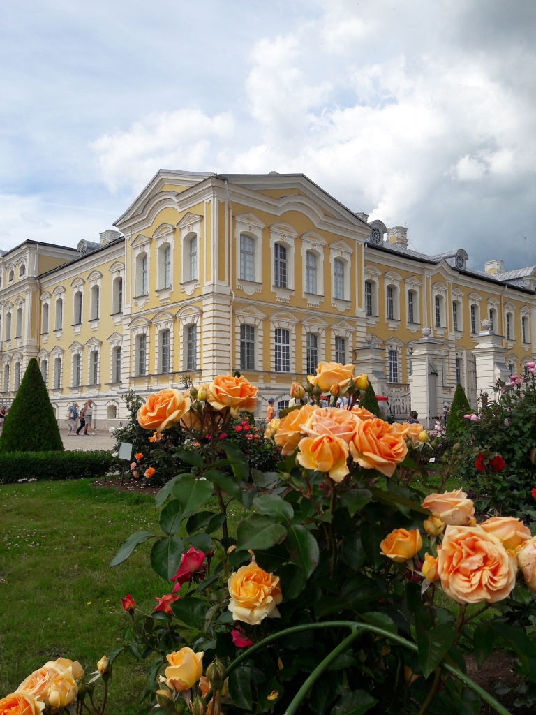SKAISTULES — rozes, kas pilnā sparā zied Rundāles pils dārzā.