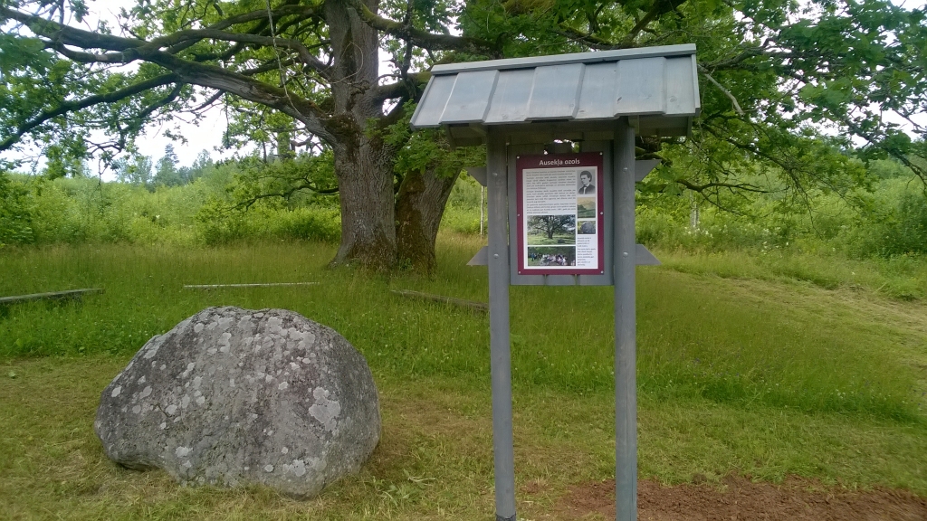 AUSEKĻA OZOLS ir vēsturiska vieta, kur joprojām  skan dzeja.
Autors: Ineta Brašus