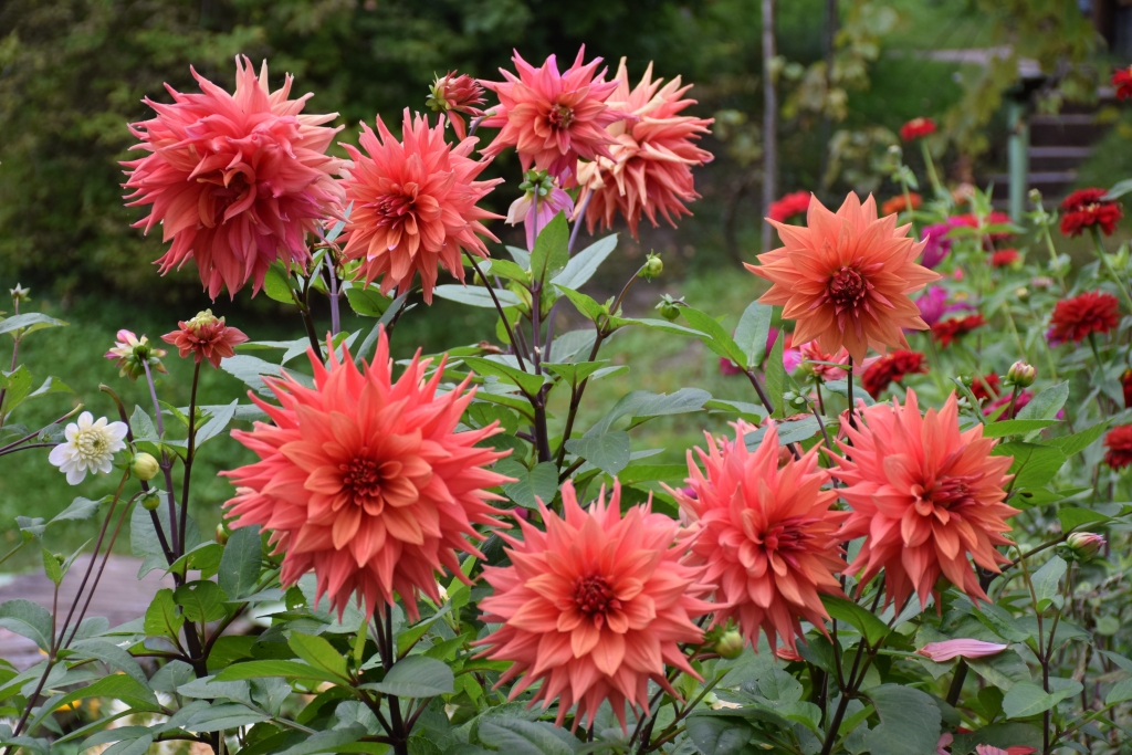 Autors: Līga Patmalniece