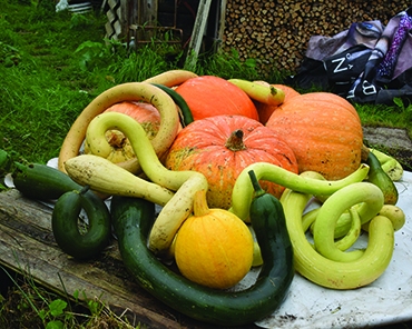 Autors: Līga Patmalniece