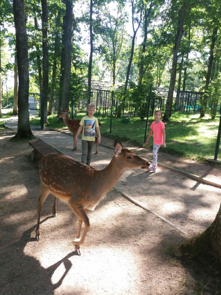 BEMBIJI droši nāk klāt un ļaujas gan samīļot, gan pabarot.
Autors: autores un Sandra Pumpure