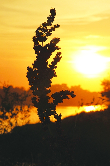 Autors: Vineta Cimdiņa