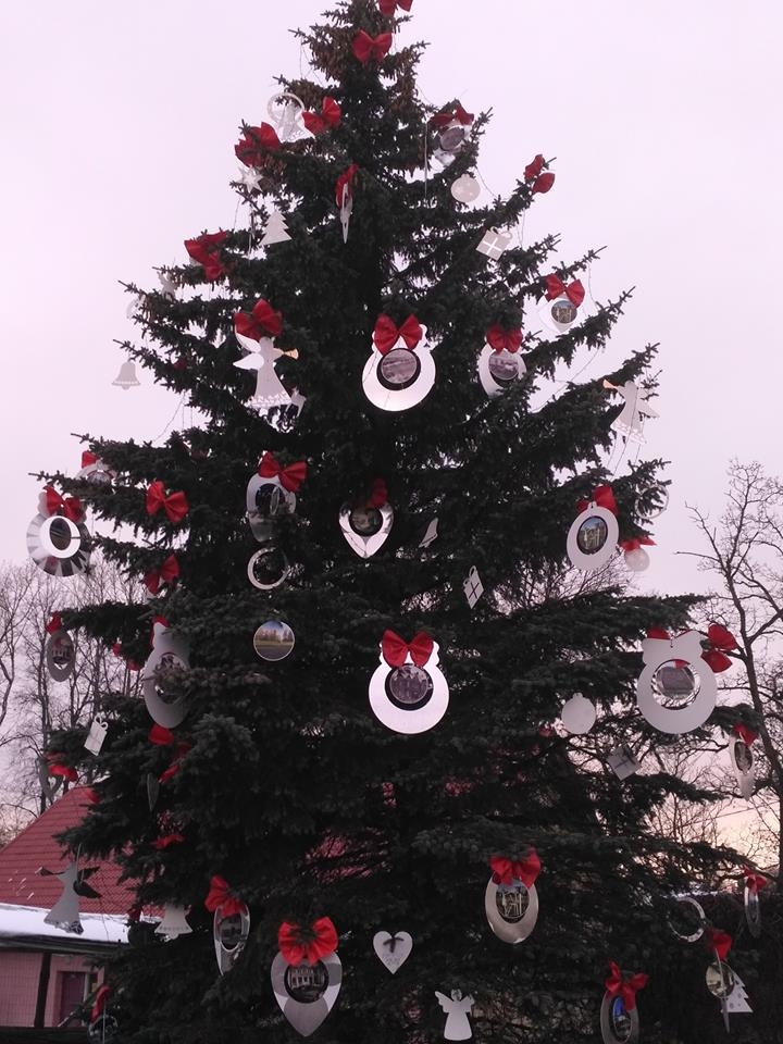 Autors: Daiga Martinsone