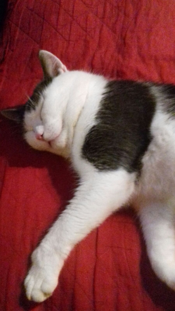 VIETAS PIETIEK VISIEM. Vernons pateicībā par mājvietu saimniekiem bieži labsajūtā un laimē maļ savas dzirnaviņas.
Autors: no personīgā albuma