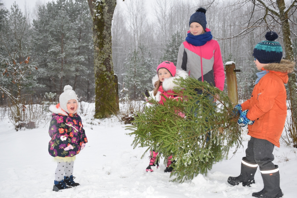 SAVAS EGLĪTES meklējumos dodas mazās aizkrauklietes Marija (no kreisās) un Elizabete kopā ar brāli Dāvidu, arī jaunjelgaviete Viktorija.