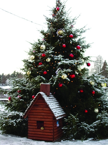 Aluksniesiem.lv raksta attēla aizvietotājs
