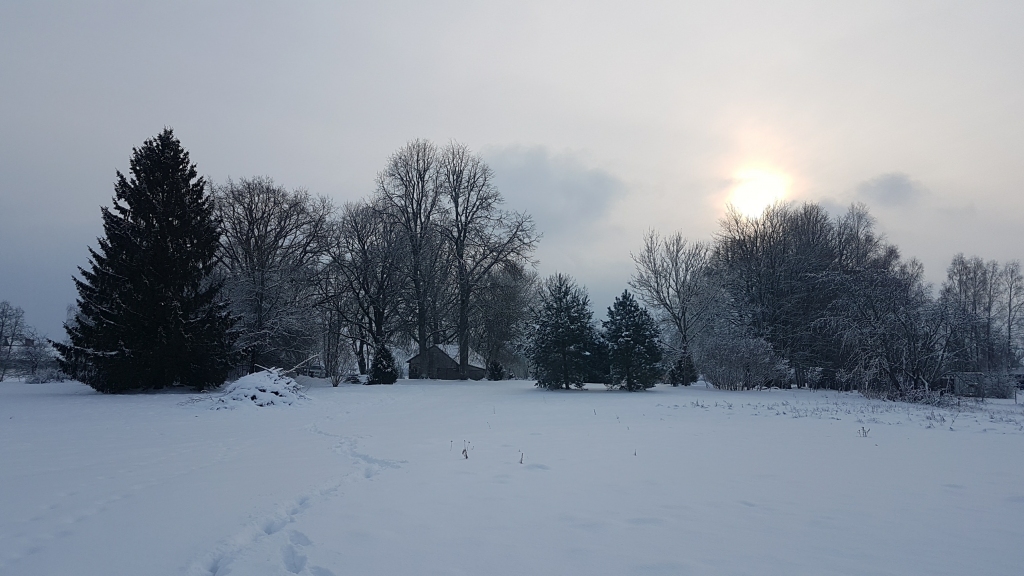 Autors: Imants Kaziļuns