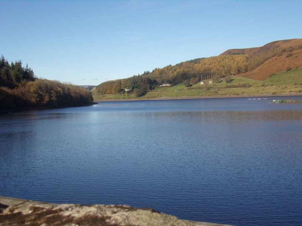 Viens mazs stūrītis no milzīgā Pīka apgabala nacionālā parka.