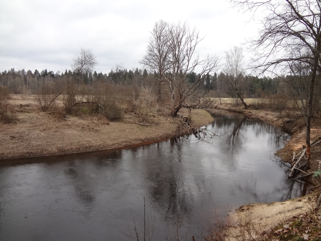 Autors: Ināra Sudare