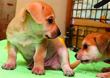 Autors: Žanna Žaka