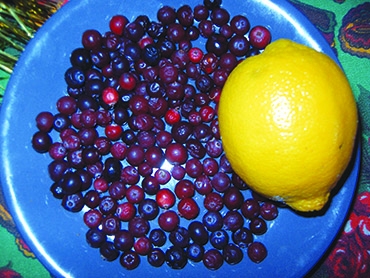 Autors: Inārs Dreijers