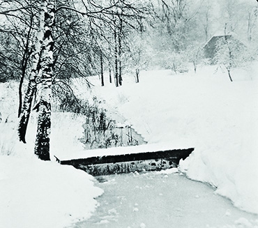 Autors: U.Grietiņš