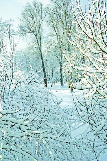 Autors: Līga Patmalniece