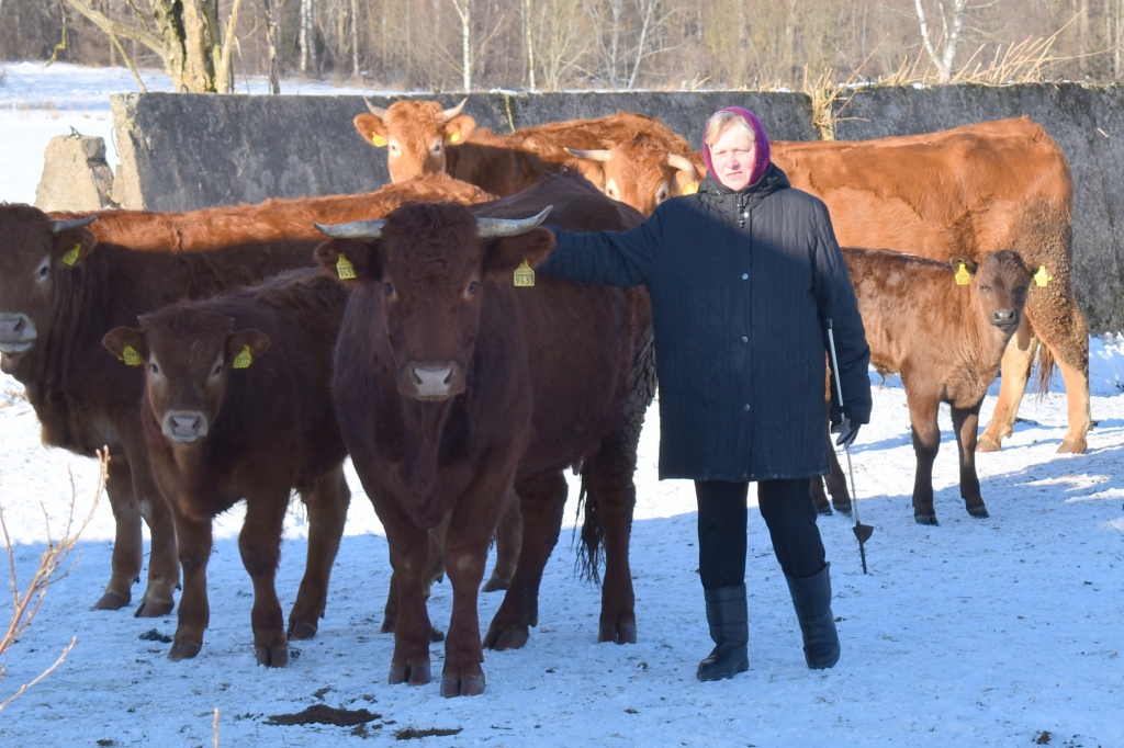 Trīs dienas vēl jāiztur. Bargajā salā, kuru pierimstam sola nedēļas otrajā pusē, “Zemturu” saimniece Anita Zundmane rūpējas par saviem mīluļiem.
Autors: Imants Kaziļuns