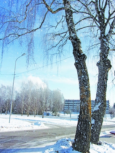 Autors: Inārs Dreijers