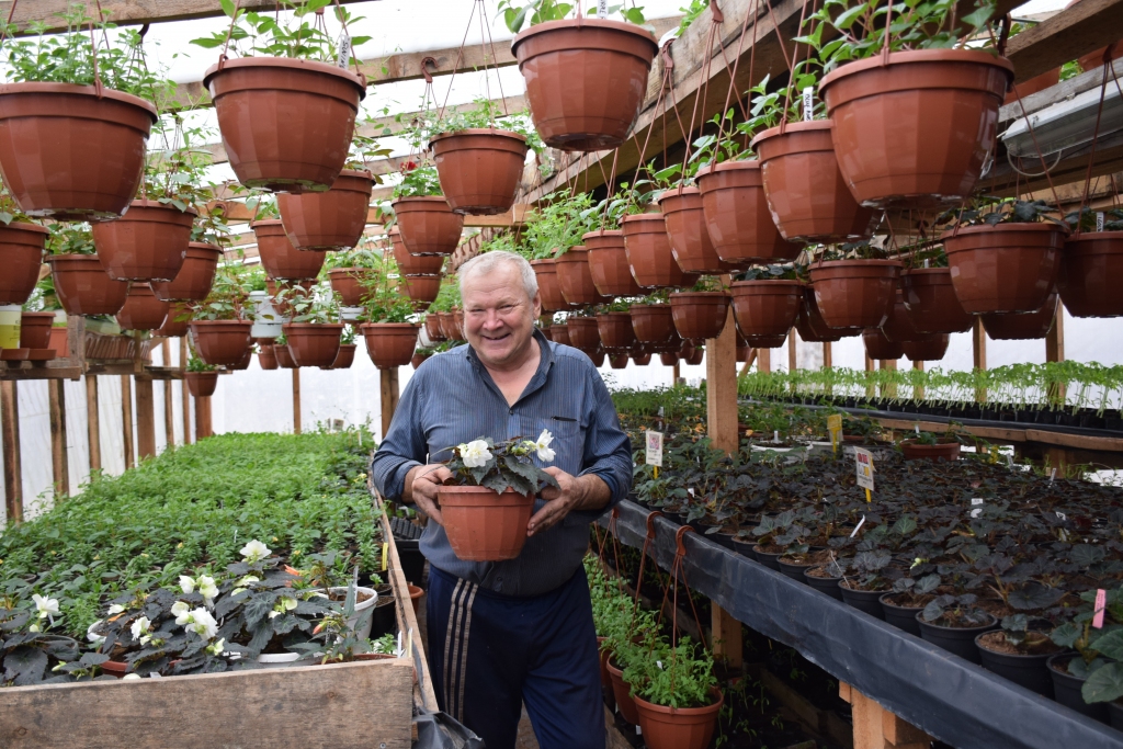 Pēteris Korsaks un tūkstošiem puķu. Vakar šeit bija lielā talkas diena, kad palīgi podos sastādīja kārtējo jaunstādu partiju.
Autors: Imants Kaziļuns