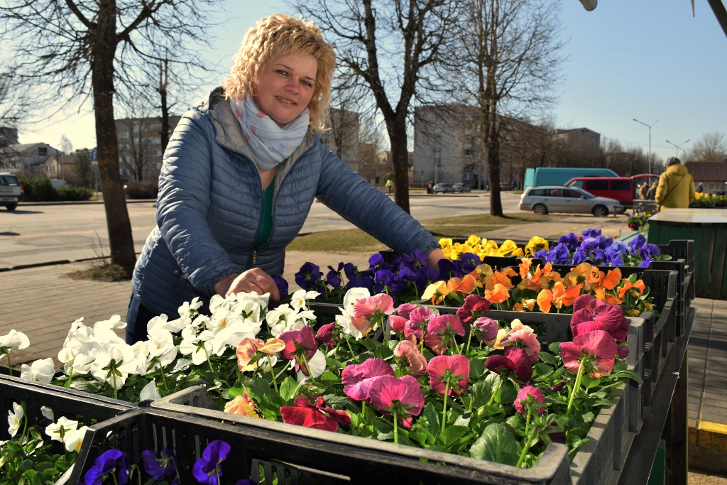 Turpmāk katru dienu. Kaimiņu novadā izaudzēto aizkraukliešiem jau vairākus gadus pārdod Agita Akmentiņa.
Autors: Imants Kaziļuns