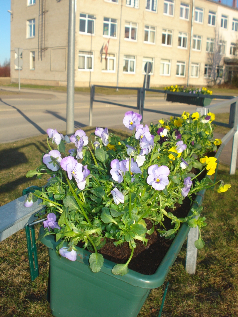 Autors: Silvija Karpoviča