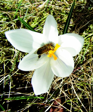 Autors: Inārs Dreijers