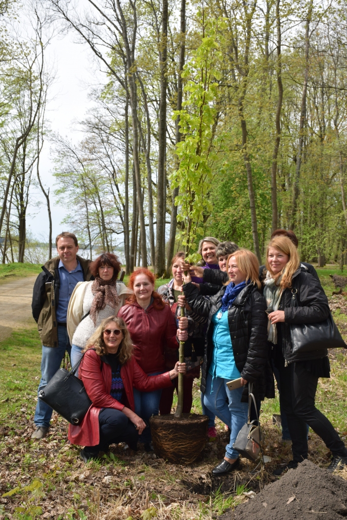 Ikdienā par liepu solīja gādāt “Latvijas Valsts mežu” darbinieki, kuru aprūpē ir Kokneses parks, tomēr arī Latvijas Lauku sieviešu apvienības dāmām būs pienākums ik pa laikam ierasties Koknesē un apraudzīt iestādīto kociņu.