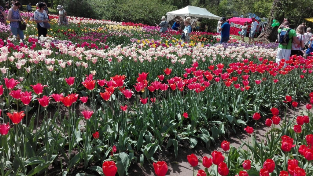 Autors: Sandra Pumpure