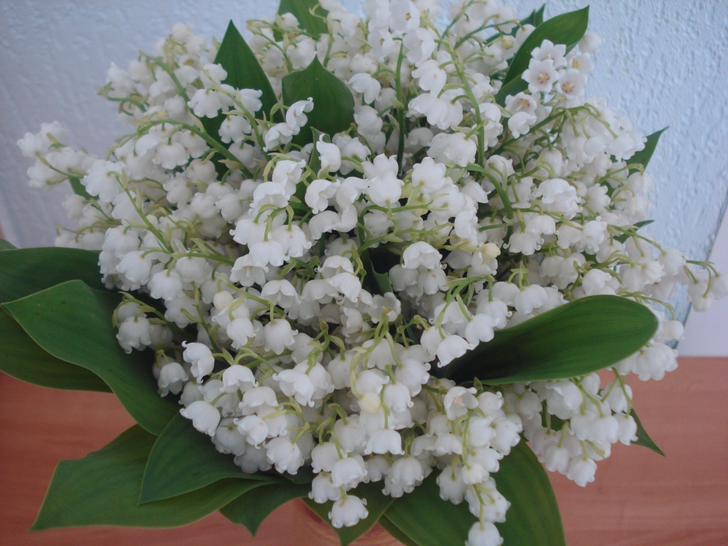 Autors: Silvija Karpoviča